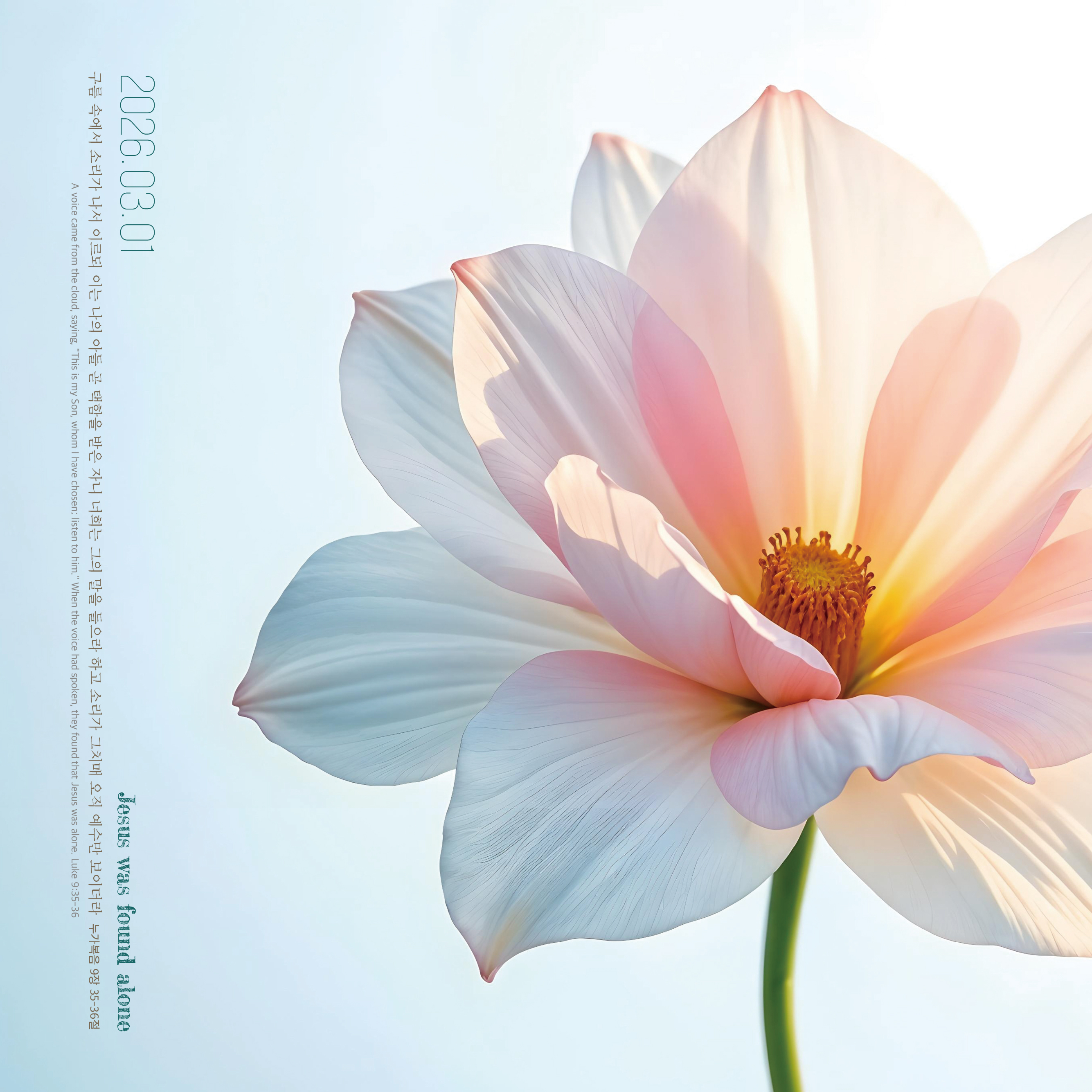 창립39주년 특별주보-3.jpg